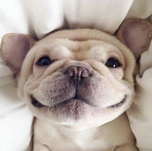 Meet your Posher, Brynn